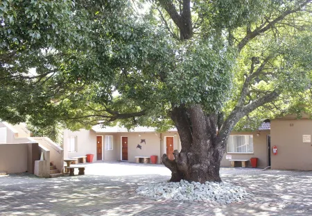 African Sky Bed and Breakfast Отели в г. Крюгерсдорп