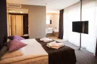澤列諾格拉茨克 SPA 飯店