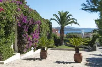 Hotel Palau