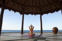 Waldorf Astoria Los Cabos Pedregal - Luxury