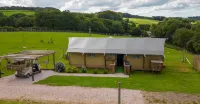 Luxury Safari Lodge-Sleeps 4 6-Deer Park-Dogs Ok - 3-Star