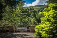Tir y Coed Country House