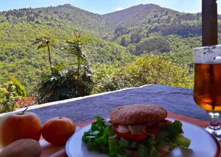 Apartamentos Rurales El Bosque de las Viñas Отели в г. El Franco