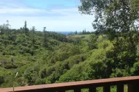 Jacaranda Park Holiday Cottages - Airport Shuttle