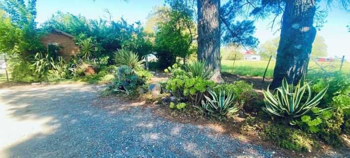 Sutton Spring Art Retreats デールズフォードのホテル