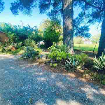 Sutton Spring Art Retreats Hotel Exterior