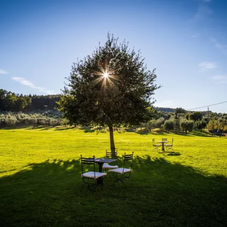 Villa Campestri Olive Oil Resort