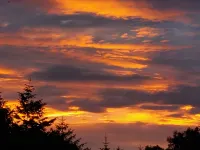 2 Bed Cottage - Hot Tub Garden Parking Hotels in Honiton