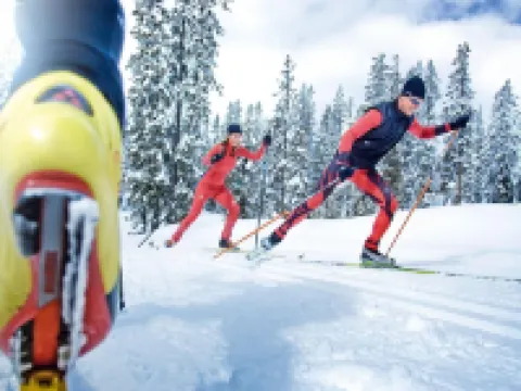 Apartment in Annaberg Near Dachstein Ski