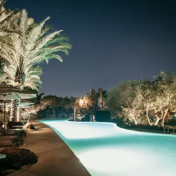 Huayacán Cuernavaca Curamoria Collection