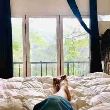 Tree Nature Resort Rooms