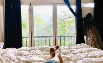 Tree Nature Resort