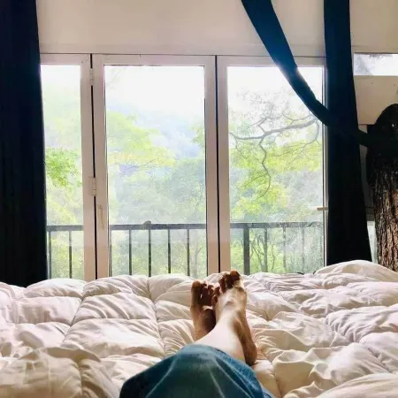 Tree Nature Resort