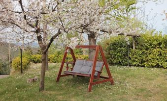B&B le Dolci Colline Del Montefeltro