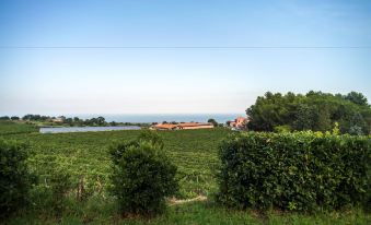 Agriturismo Tenuta San Michele
