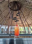 Maya Internacional - bar