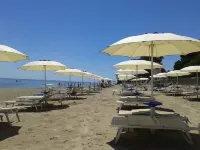 蓬自旋之居飯店 - 海滩