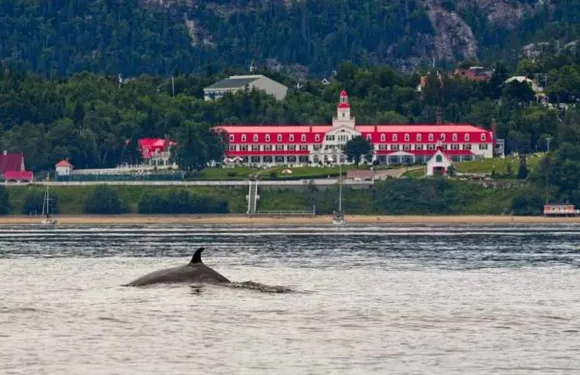 吉特奧威克斯坡米爾酒店