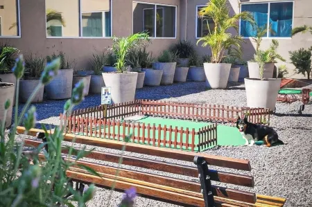 트립 바이 윈덤 상 파울로 과룰류스 에어포트 (환승 호텔)