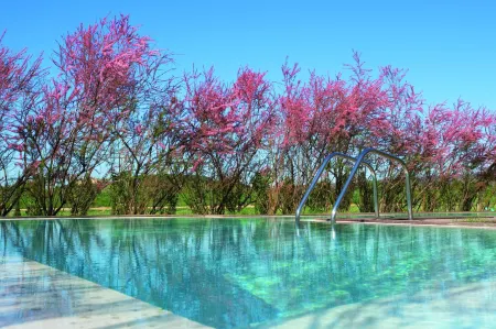 Hotel la Malcontenta Отели в г. Паламос