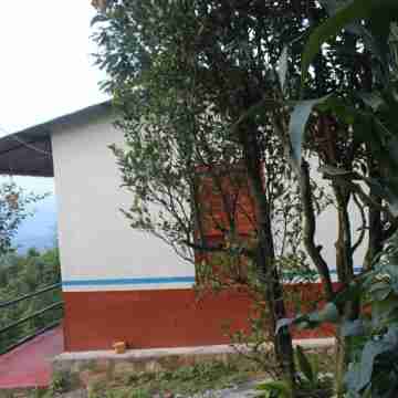 Buddha Shanti Lodge Backpackers Paradise Others