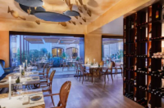 사크레우 노바 프티 팔레 아트 & 스파