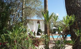 Guesthouse le Mas de Cotignac