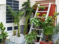 Heart of the City by Rashmi Hotels near Ajmeri Gate