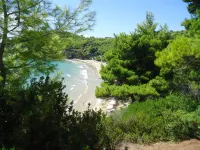 Alonissos Beach Bungalows and Suites Hotel - Beach