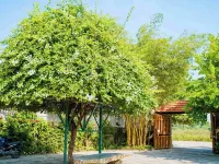 Ninh Bình Eco Garden