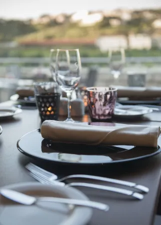 Vila Gale Collection Douro Отели в г. Ламего