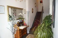 含羞草 B & B 盧卡住宿飯店