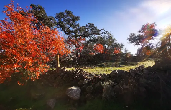 託米約斯米拉多鄉村民宿