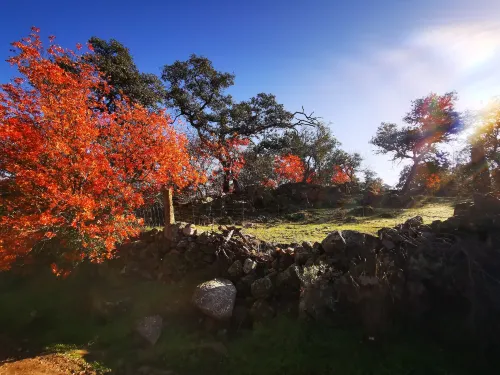 托米約斯米拉多鄉村民宿