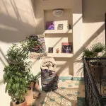 رياض لمندي