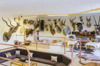 Kampfontein Gasteplaas Hotels in Bo-Karoo