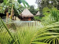Colibri Parque Tayrona