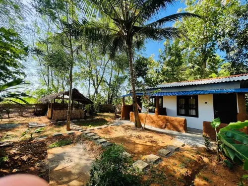 Udawalawe Elephant safari Lodge - piscine