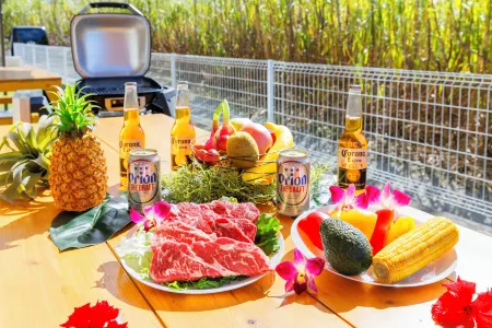 Yanbaru villa -KISEN-