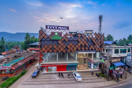 Hotel Cason International Отели в г. Манжери