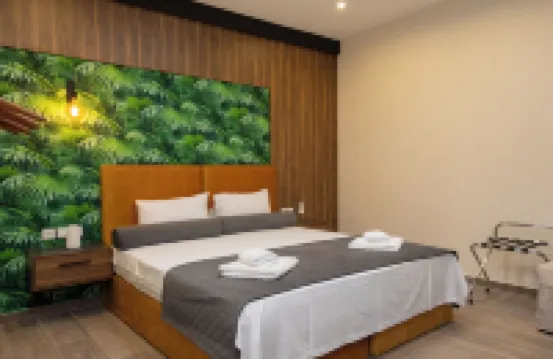 迪奧羅套房梅泰奧拉303