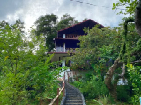 Ced Garden