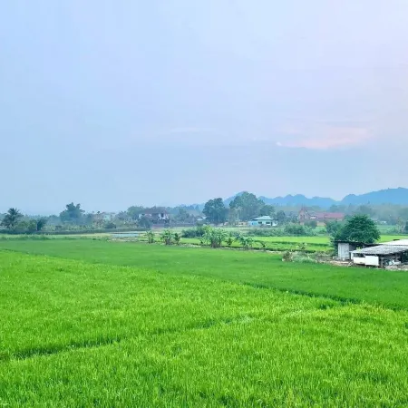 The Green Season Resort Chiang Rai