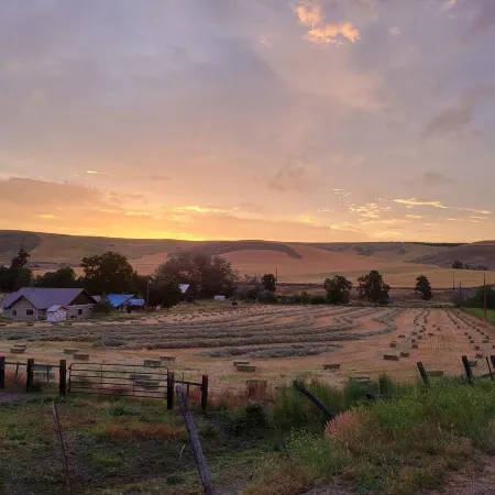 8 Mile Farm B&B