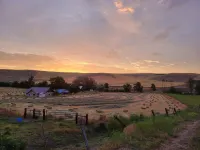 8 Mile Farm B&B Hôtels à : Dufur