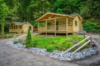 2bdrm Cabin 2 Gburg Pet Friendly Fire Pit Game