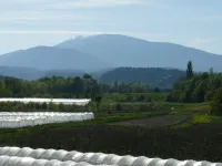 air-conditioned villa T3 garden terrace in holiday village pool 01/05 to30 / 09