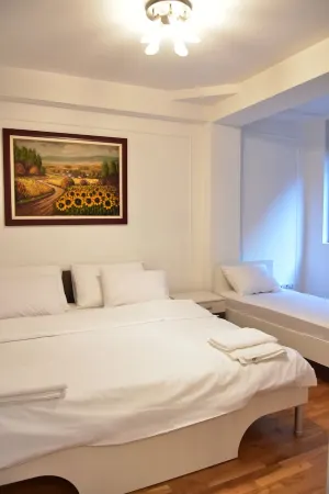 Central Elegance Apartments Отели рядом с достопримечательностью «Спомен куќа на Мајка Тереза»