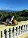 Entire Villa for an incredible Affordable Price. Bring up to 10 guest!