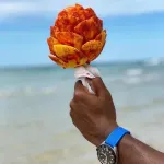 2 bed,2 bath upper condo only steps from the beach. 360 degree views.of ocean!